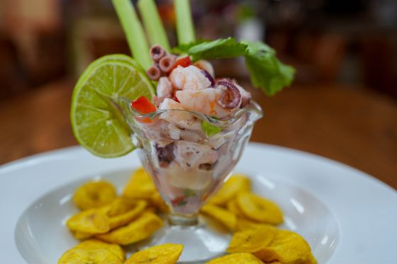 Ceviche de Pulpo y Camarones